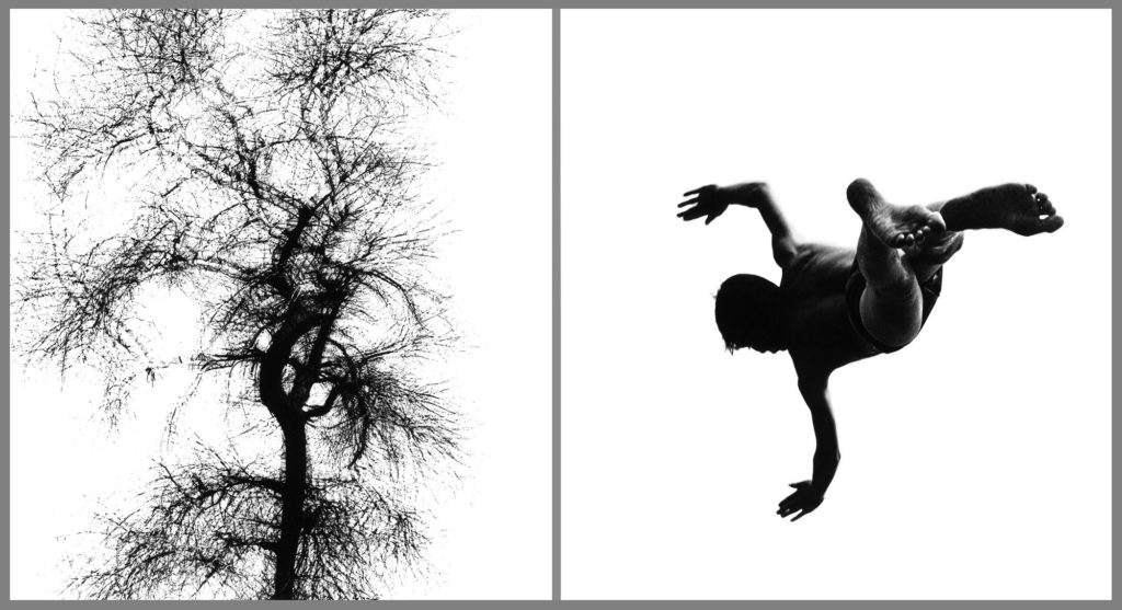 When Harry Met Aaron