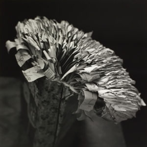 Ushioda_Bibliotheca_041