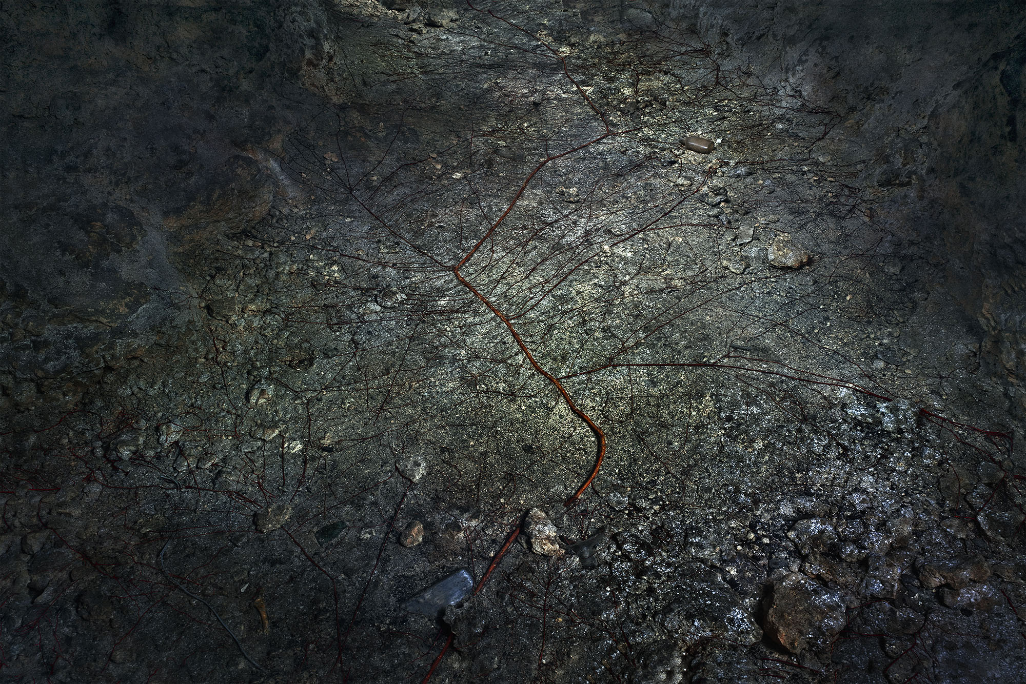 PGI <関連展覧会>「UNDERFOOT」オサム・ジェームス中川| タイラジュンgallery main