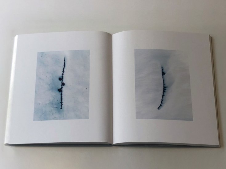 (商品画像) 濱田祐史: BRANCH 