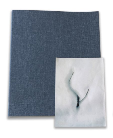 (商品画像) 濱田祐史: BRANCH 