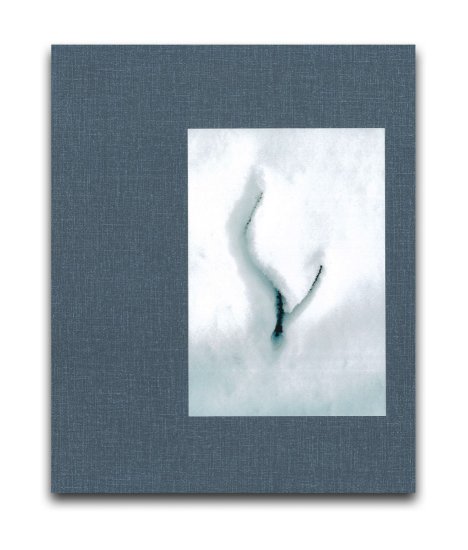 (商品画像) 濱田祐史: BRANCH 