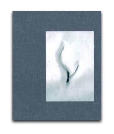 濱田祐史: BRANCH 