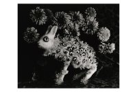 今道子 ポストカード： 白うさぎと目(1), 2013