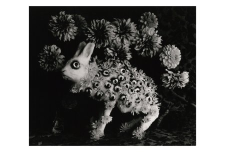 今道子 ポストカード： 白うさぎと目(1), 2013