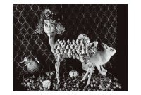 今道子 ポストカード： シスターバンビ, 2017