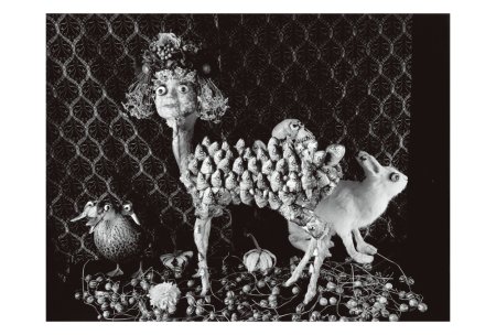 今道子 ポストカード： シスターバンビ, 2017