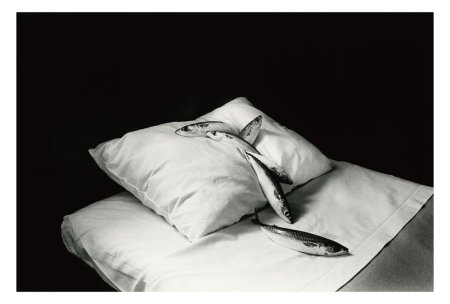 今道子 ポストカード: 鯖+枕, 1979 今道子 ポストカード: 鯖+枕, 1979