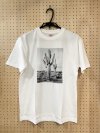 三好耕三 : Tシャツ CACTI （Lサイズ） 