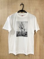 三好耕三 : Tシャツ CACTI （Lサイズ） 