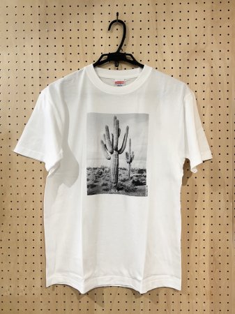 三好耕三 : Tシャツ CACTI (Lサイズ) 三好耕三 : Tシャツ CACTI (Lサイズ)