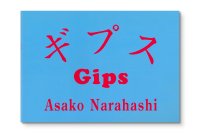 楢橋朝子：ギプス 