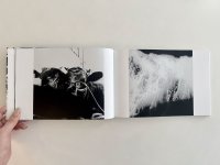 楢橋 朝子:春は曙 楢橋 朝子:春は曙