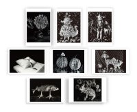 今道子 ポストカード 8枚セット