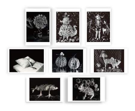 今道子 ポストカード 8枚セット