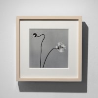 石元泰博 ポストカード12枚セット + 特製フレーム