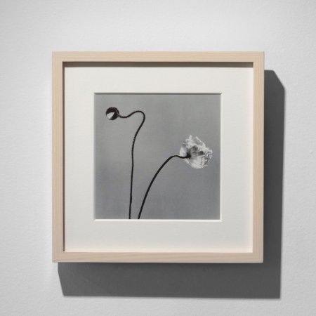 石元泰博 ポストカード12枚セット + 特製フレーム