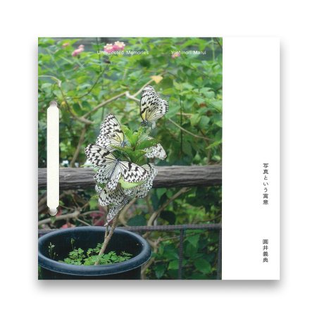 圓井義典：写真という寓意 