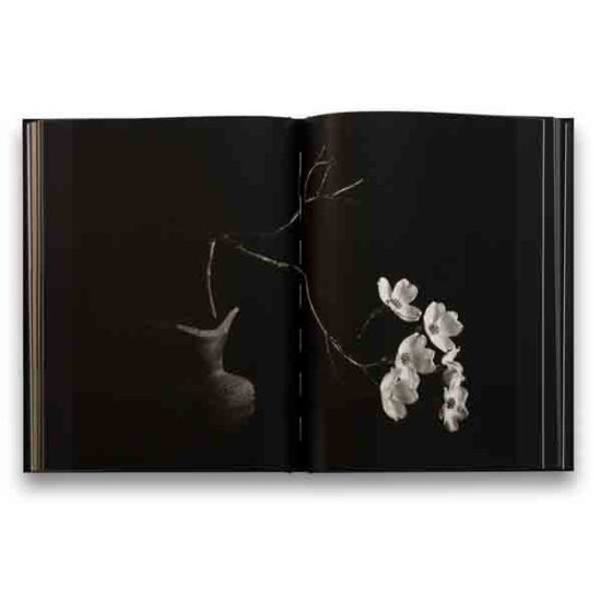 (商品画像) 井津建郎: もののあはれ・無常の美 