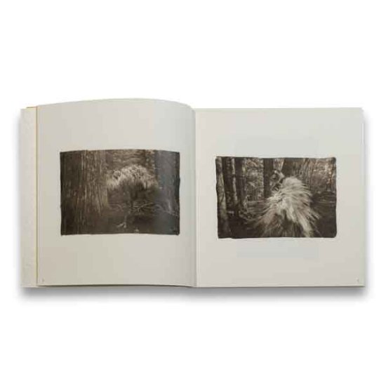 (商品画像) 櫻井 尚子：「Adagio dans foret」森の中のアダージョ 