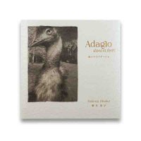 櫻井 尚子：「Adagio dans foret」森の中のアダージョ 