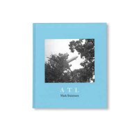 マーク・スタインメッツ：ATL 