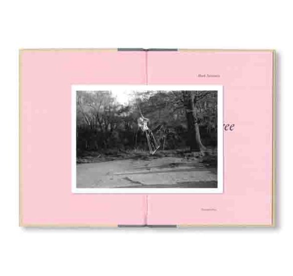 (商品画像) マーク・スタインメッツ：ONE PICTURE BOOK TWO #32: BENT TREE [SPECIAL EDITION] 