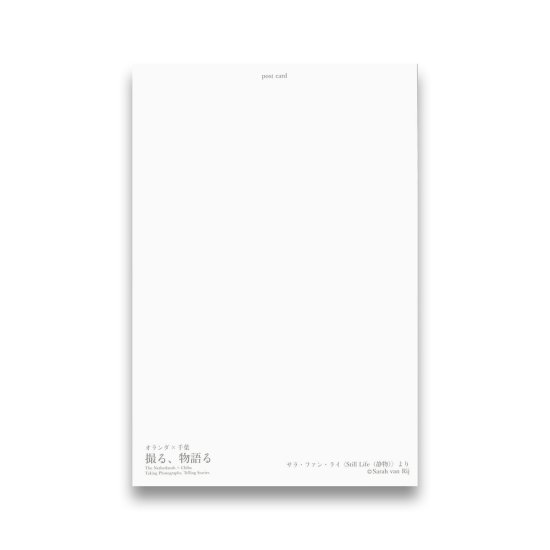 (商品画像) サラ・ファン・ライ：ポストカード ＜Still Life（静物）＞より モノクロチューリップ 