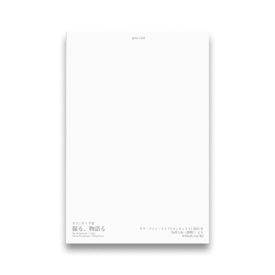 (商品画像) サラ・ファン・ライ：ポストカード≪ラナンキュラス≫ 2021年 ＜Still Life（静物）>より 