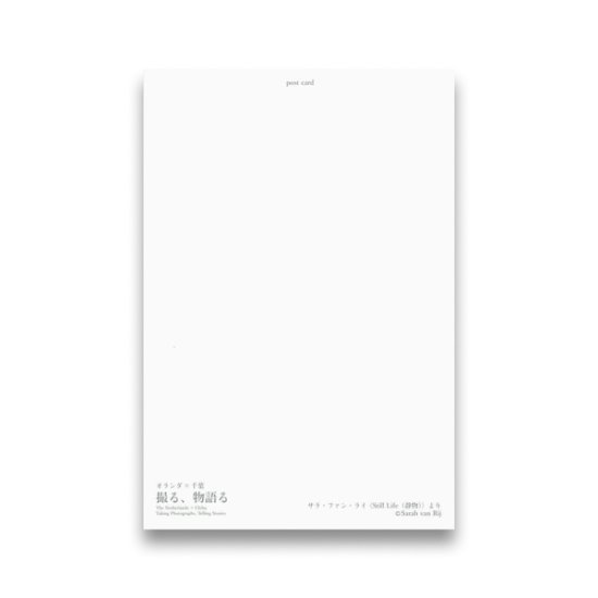(商品画像) サラ・ファン・ライ：ポストカード＜Still Life（静物）＞よりモノクロ手 