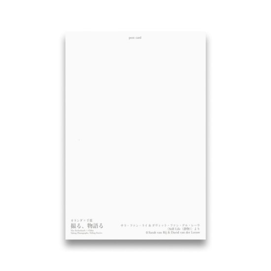 (商品画像) サラ・ファン・ライ & ダヴィット・ファン・デル・レーウ ：ポストカード＜Still Life（静物）＞より 