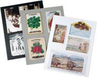 AFインサート 8.5x11インチ オフホワイト (50 枚)【在庫限り】