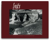 David Scheinbaum: Bisti 