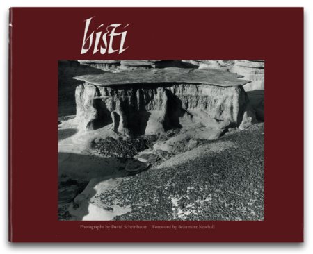 David Scheinbaum: Bisti 