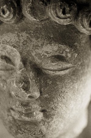 Robert Adams: Bodhisattva Robert Adams: Bodhisattva