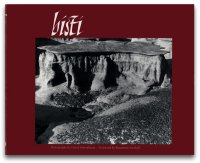 David Scheinbaum: Bisti 