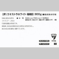 ファブリアーノ アルティスティコ エキストラホワイト 極細目 300g 中判（560x760mm）