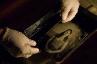 アンブロタイプ&ティンタイプ ワークショップ (4 日間)