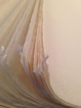 土佐白金紙 一号 二三判 （約60x90cm）