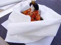 GasQ ガスキュウ（汚染ガス吸着シート）幅1100mm×50m巻（シート厚0.3mm）