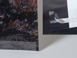 クリアプリントマウントストリップ 10インチ（25.4cm） (25 本)【在庫限り】