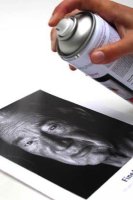 ハーネミューレ 保護スプレー (400 ml)