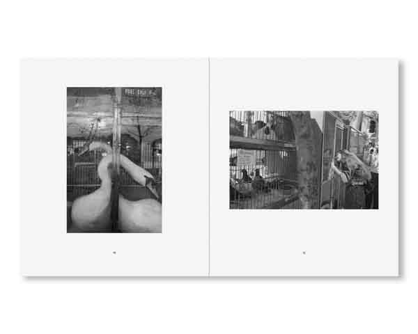 (商品画像) マーク・スタインメッツ：FRANCE 1987 