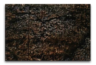 オサム・ジェームス・中川 : GAMA CAVES オサム・ジェームス・中川 : GAMA CAVES