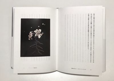 (商品画像) 竹内万里子 : 沈黙とイメージ　-写真をめぐるエッセイ-